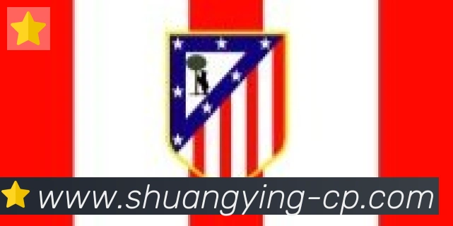 双赢彩票入口合作伙伴